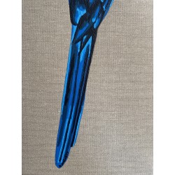 Parthénope